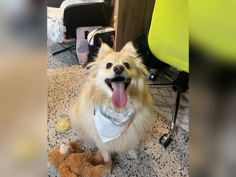 Ivy - freundlich, aufgeschlossen