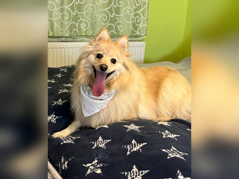 Ivy - freundlich, aufgeschlossen