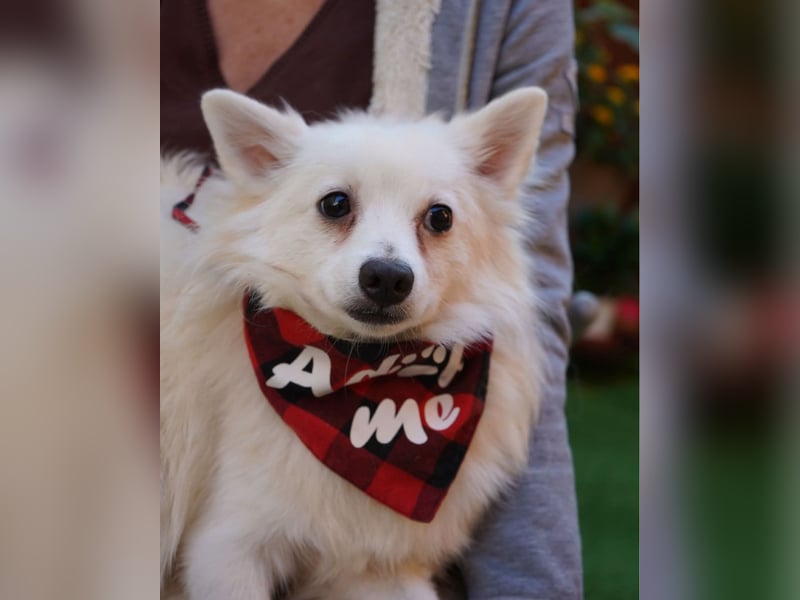 Ted SR, sucht Liebe und Zuneigung