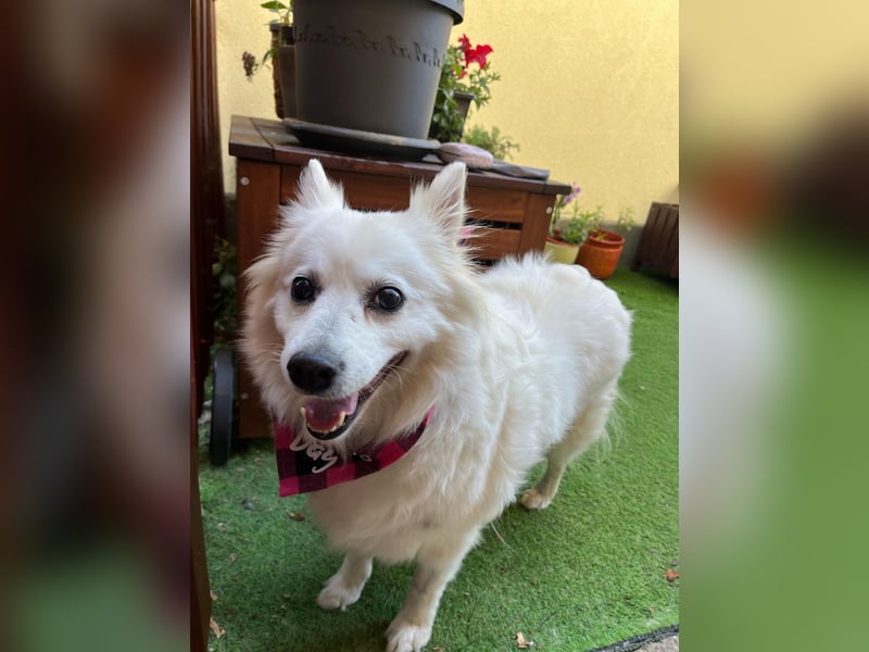 Ariel SR, ein liebenswertes Mädchen