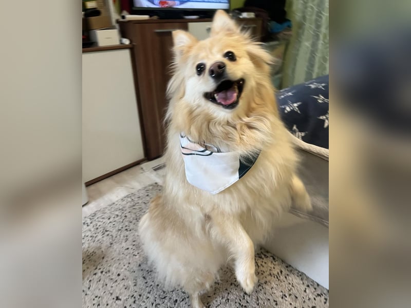 Ivy - freundlich, aufgeschlossen