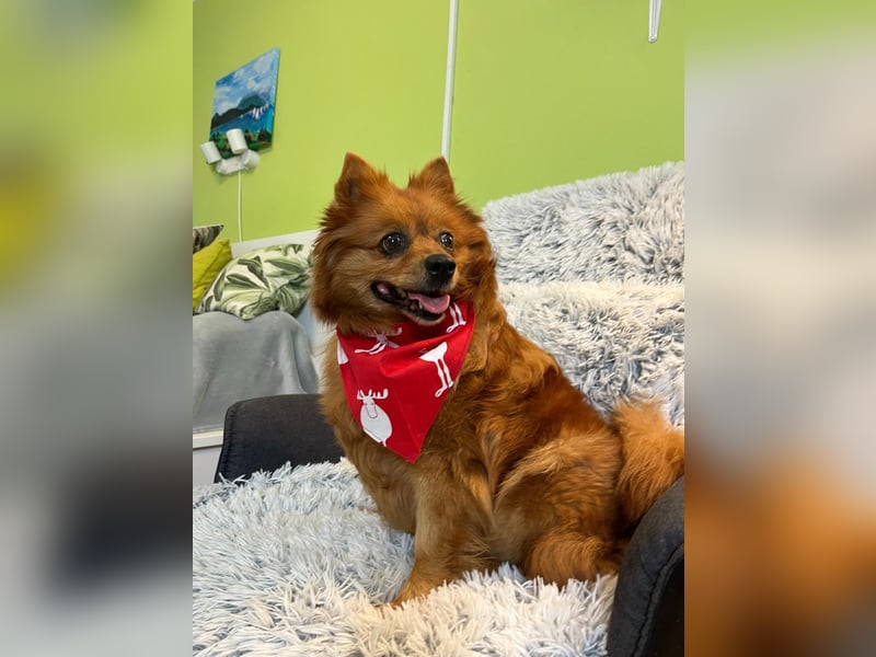 Nola SR - aufgeschlossen, neugierig