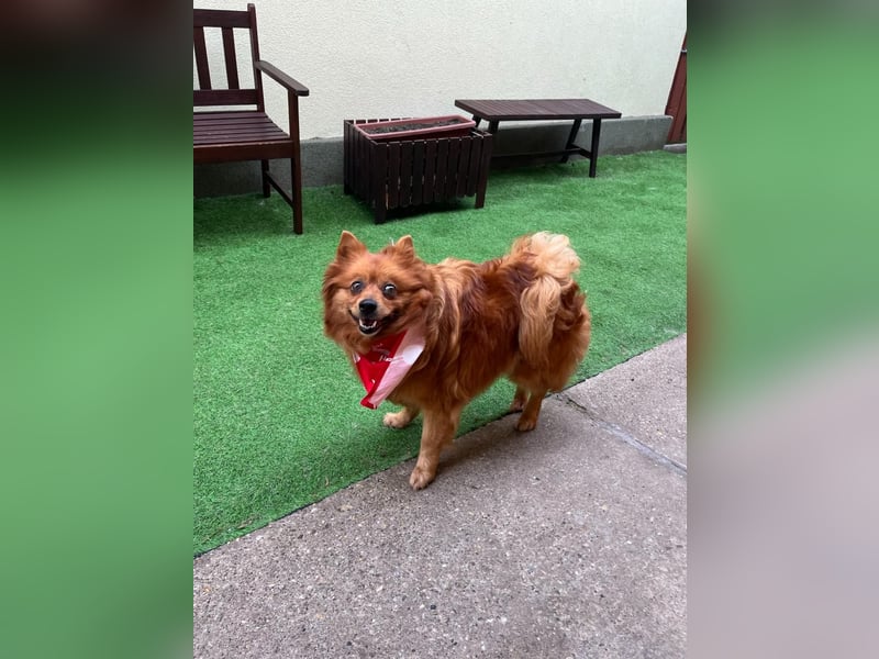 Nola SR - aufgeschlossen, neugierig