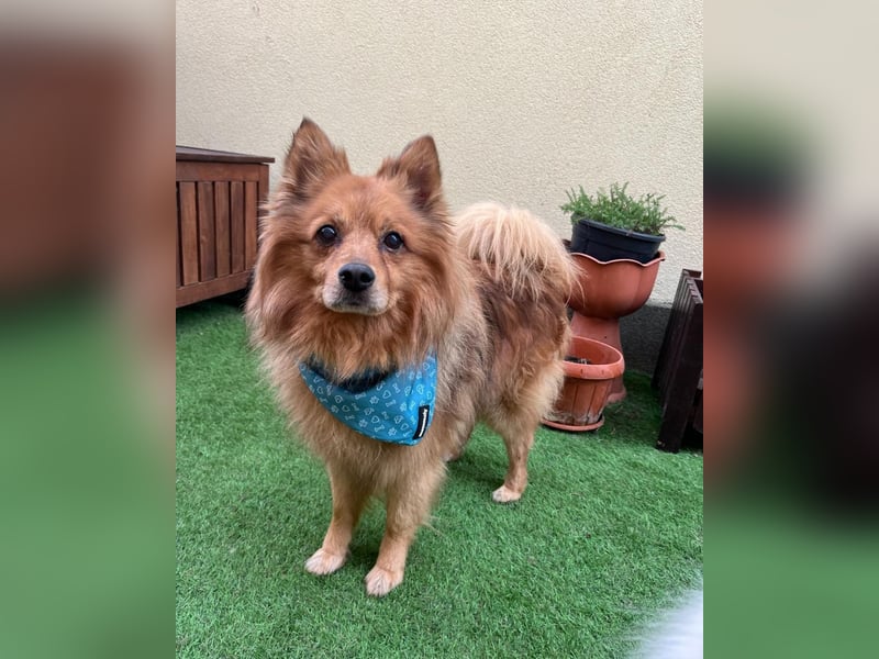 Arthur SR - freundlich, aufgeschlossen