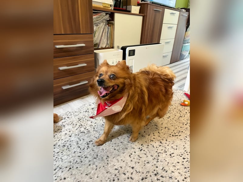 Nola SR - aufgeschlossen, neugierig