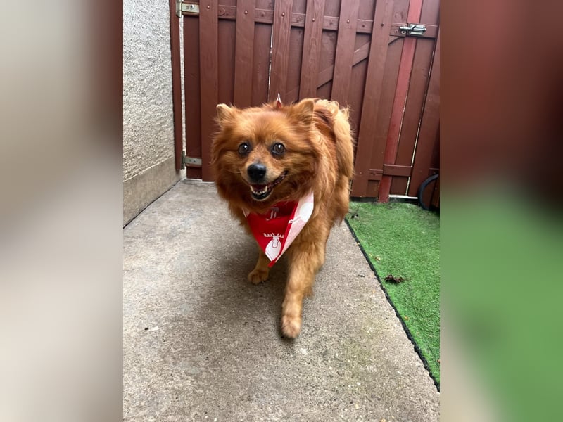 Nola SR - aufgeschlossen, neugierig