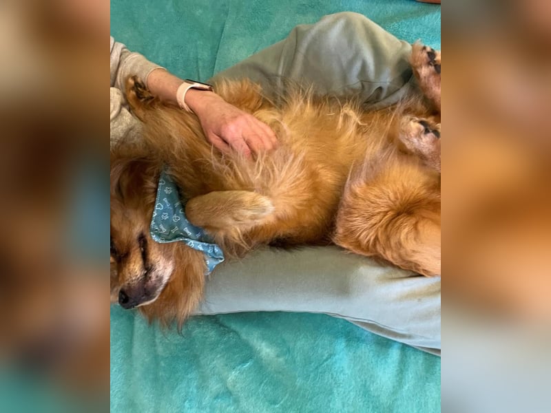 Arthur SR - freundlich, aufgeschlossen