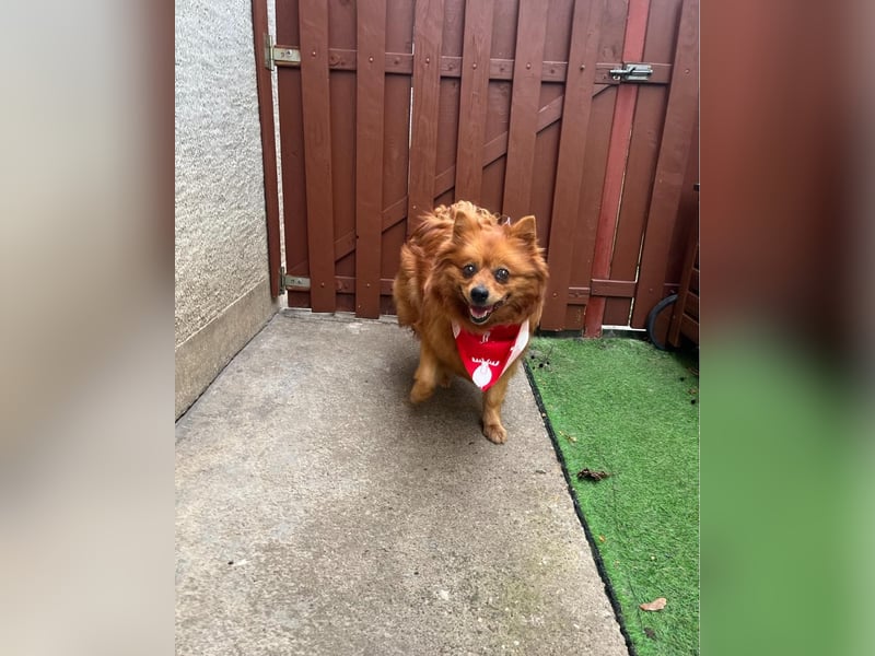 Nola SR - aufgeschlossen, neugierig