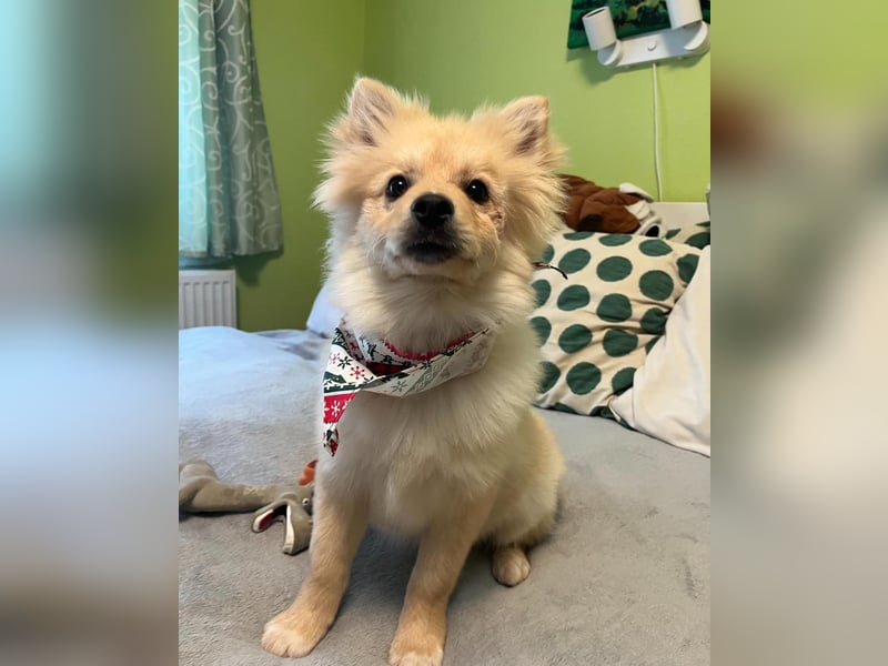 James SR- katzenverträglich, freundlich