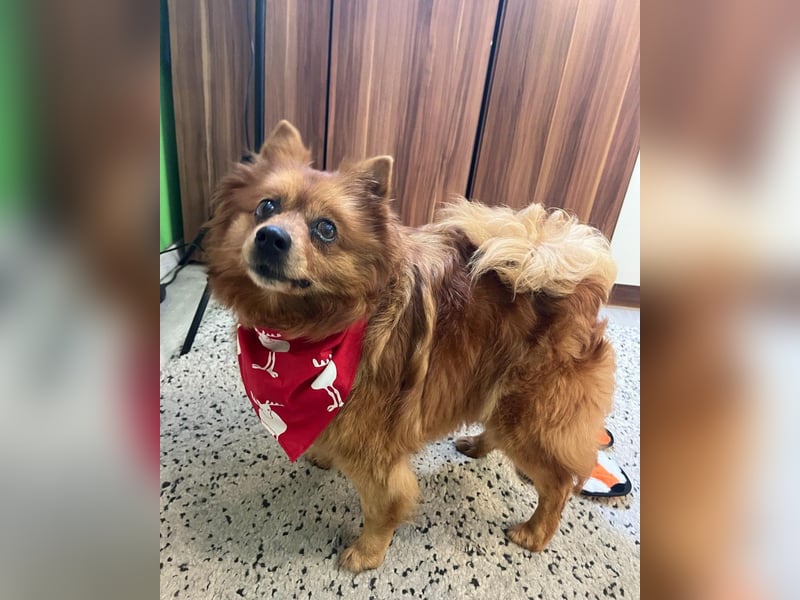 Nola SR - aufgeschlossen, neugierig