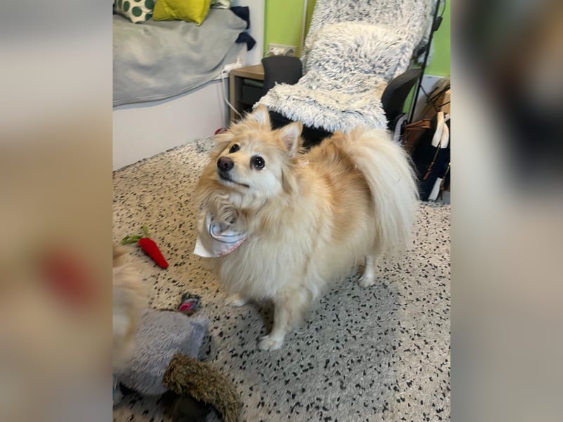 Ivy - freundlich, aufgeschlossen