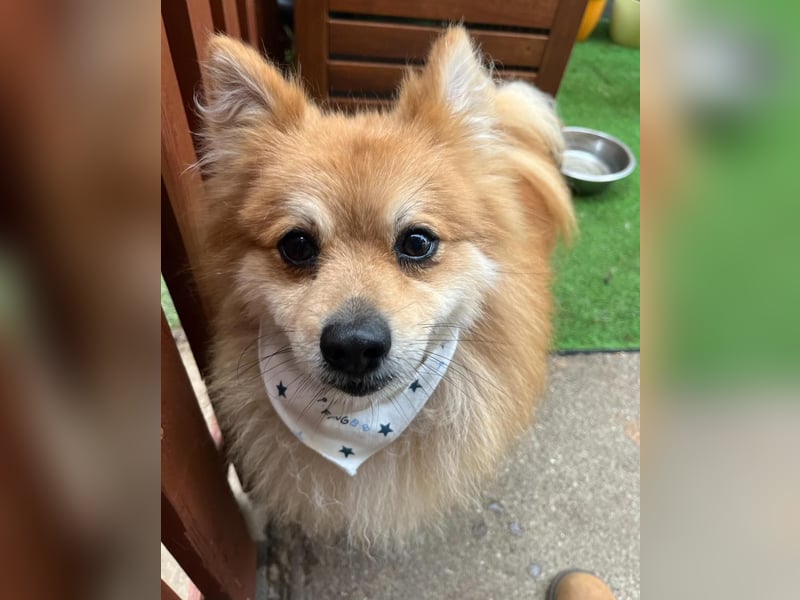 Yumo SR - aufgeschlossen, verträglich