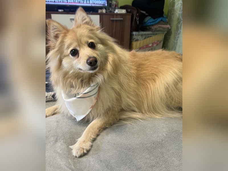 Ivy - freundlich, aufgeschlossen