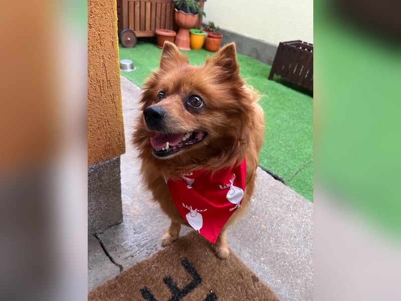 Nola SR - aufgeschlossen, neugierig