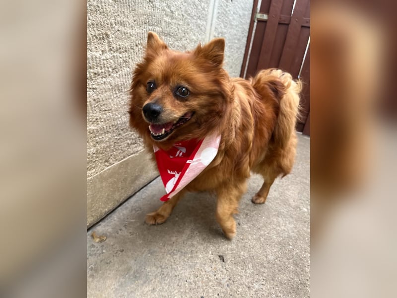 Nola SR - aufgeschlossen, neugierig