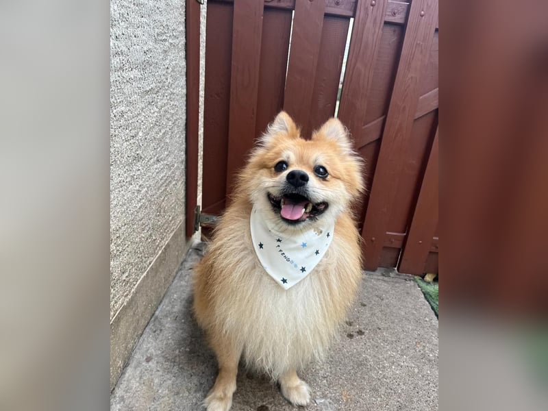 Yumo SR - aufgeschlossen, verträglich