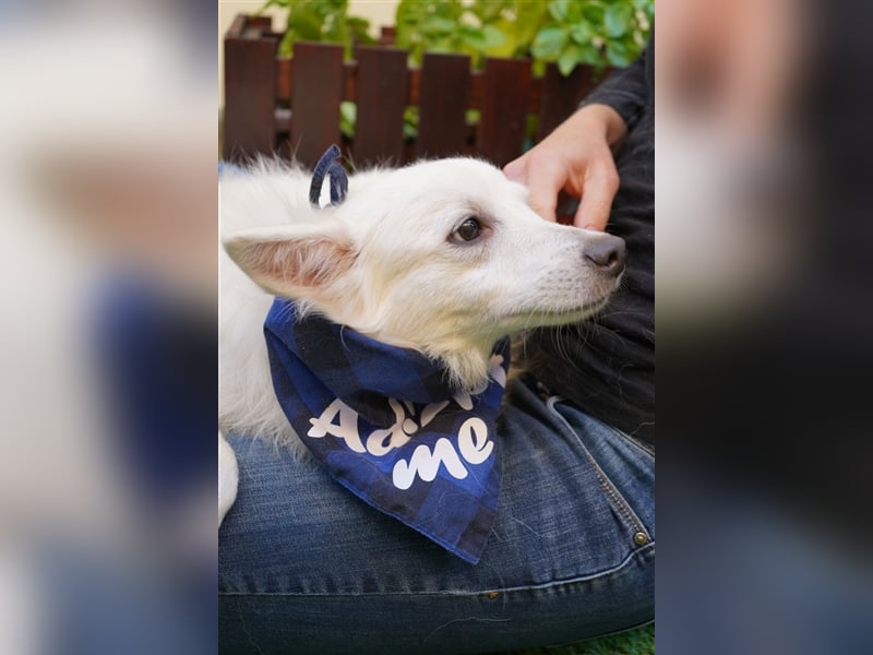 Timm-SR, Schatz sucht Liebe!