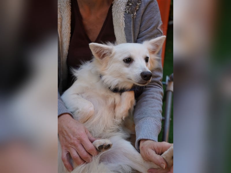Timm-SR, Schatz sucht Liebe!