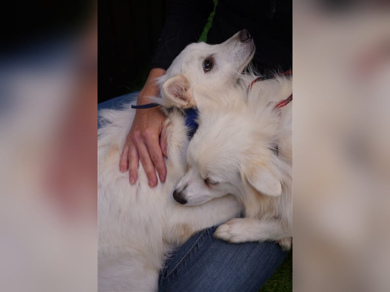 Timm-SR, Schatz sucht Liebe!