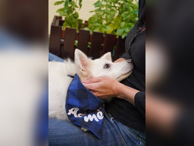 Timm-SR, Schatz sucht Liebe!