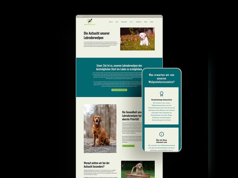 Modernes und funktionales Webdesign für Hunde- und Katzenzüchter