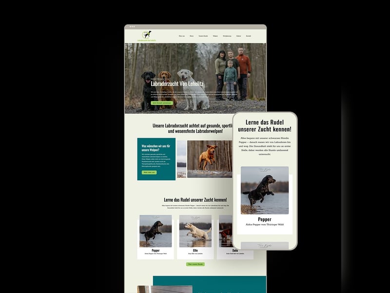 Modernes und funktionales Webdesign für Hunde- und Katzenzüchter