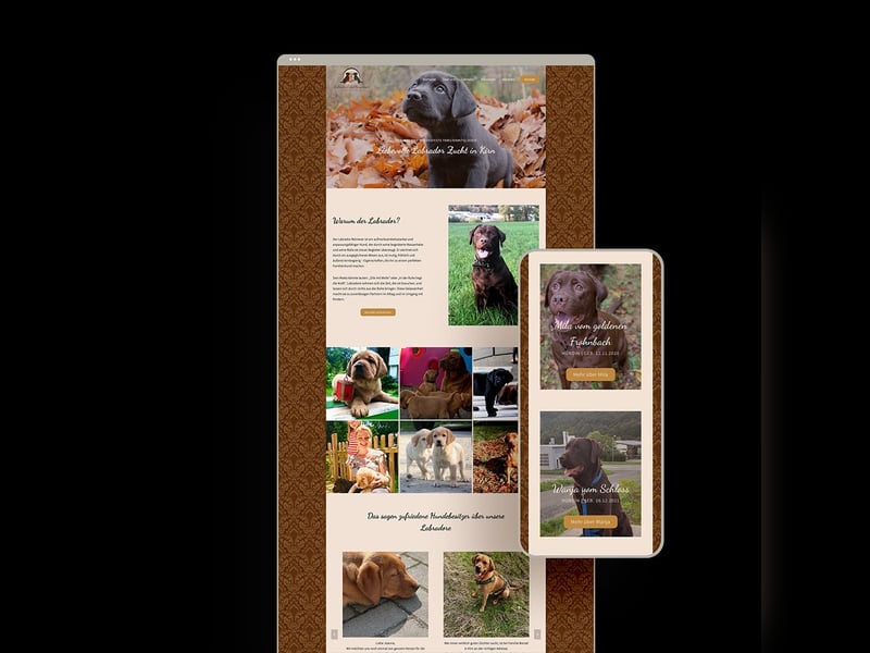 Modernes und funktionales Webdesign für Hunde- und Katzenzüchter