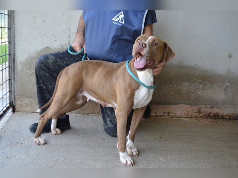 Olena - unser Sonnenschein!