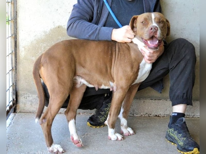 Olena - unser Sonnenschein!