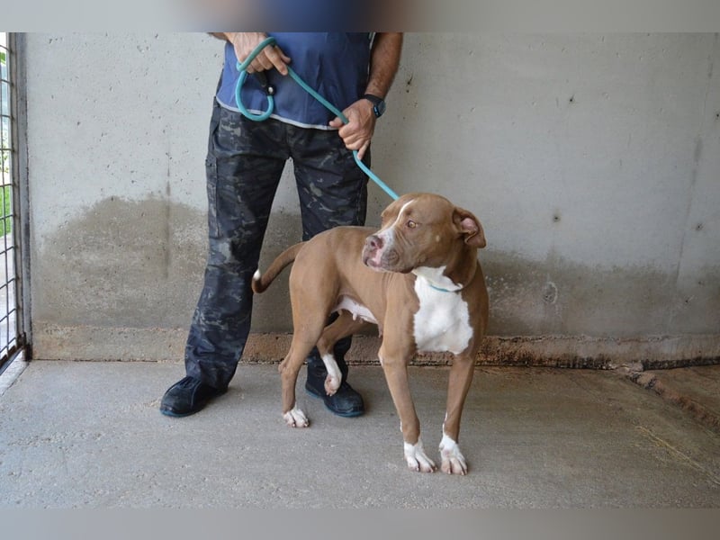 Olena - unser Sonnenschein!