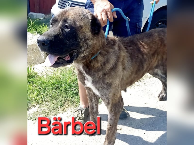 Bärbel sucht ihre Familie
