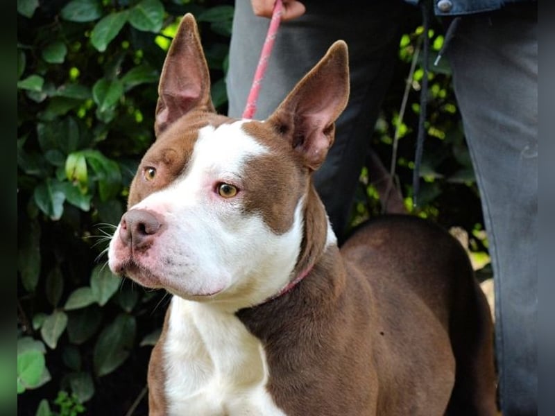 Jovienne - Menschenliebhaberin sucht Partner/in fürs Leben!