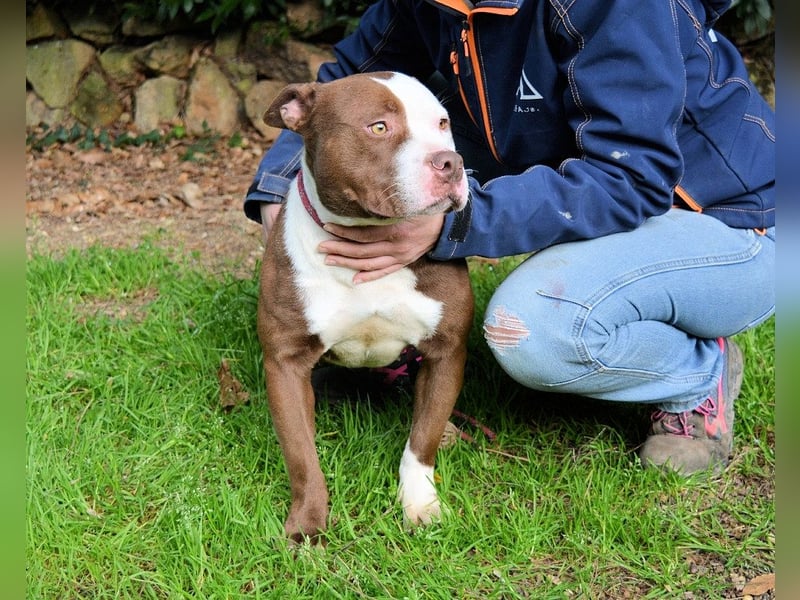 Jovienne - Menschenliebhaberin sucht Partner/in fürs Leben!