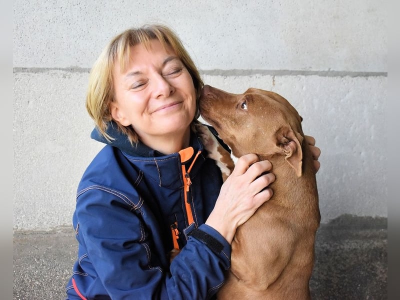 Aschette - SOS - Früher hat sie gelächelt