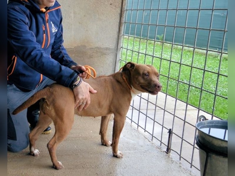 Aschette - weißt du, wie es früher war?