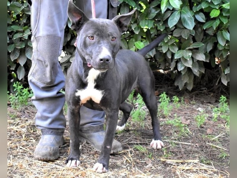 Deylora - Wenn sie fliegen könnte?