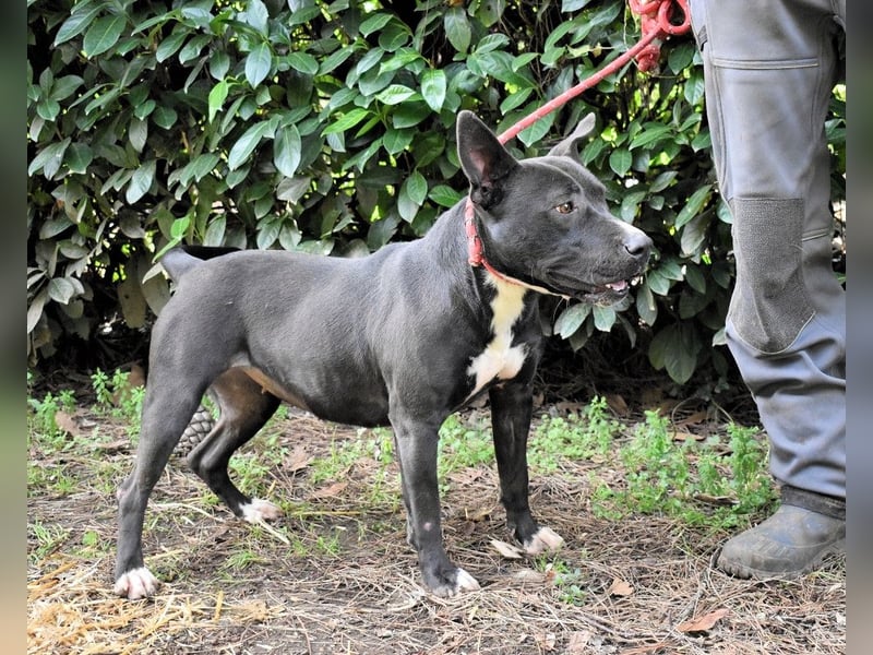 Deylora - Wenn sie fliegen könnte?