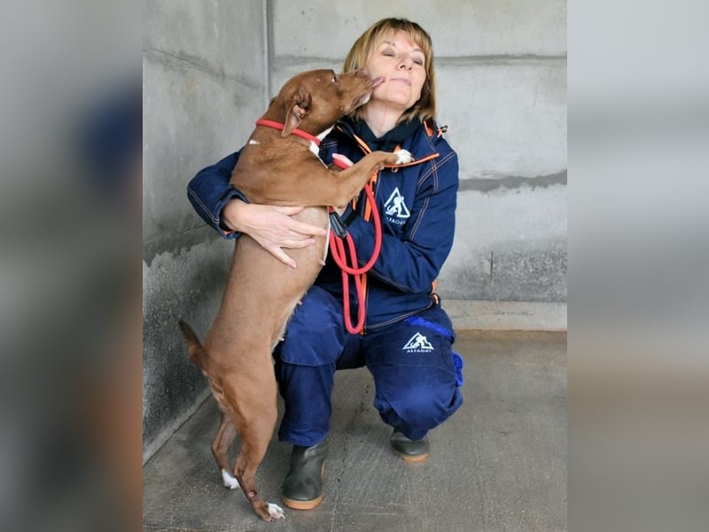 Aschette - weißt du, wie es früher war?