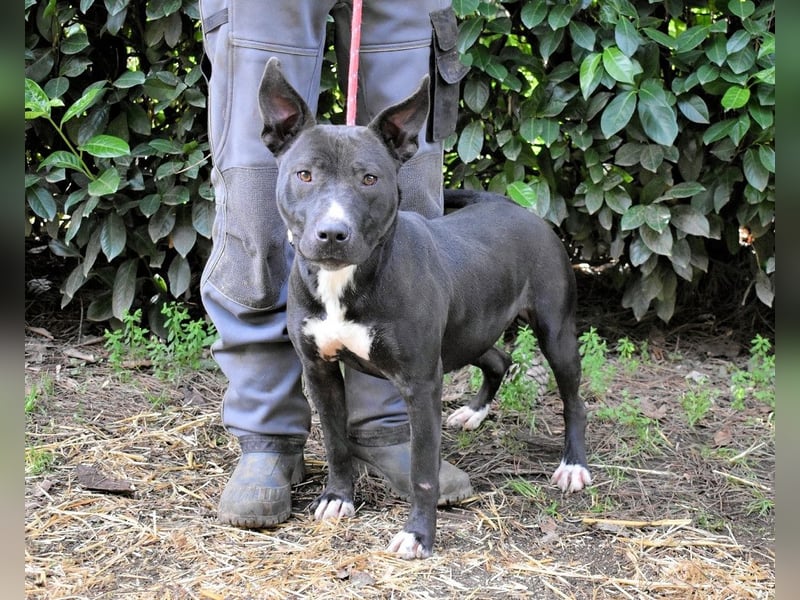 Deylora - Wenn sie fliegen könnte?