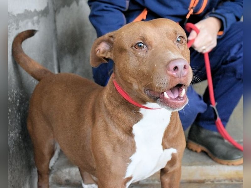 Aschette - weißt du, wie es früher war?