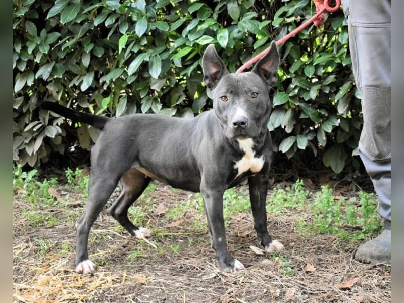 Deylora - Wenn sie fliegen könnte?