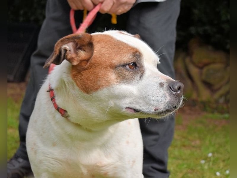 Abalyn - Piratin will Ihr Herz entern