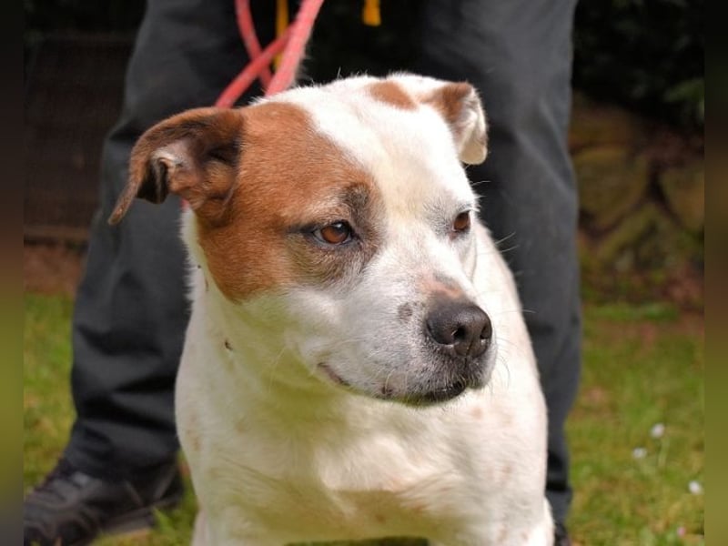 Abalyn - Piratin will Ihr Herz entern