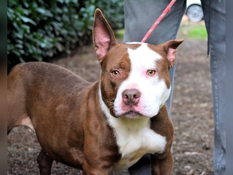 Jovienne - Menschenliebhaberin sucht Partner/in fürs Leben!