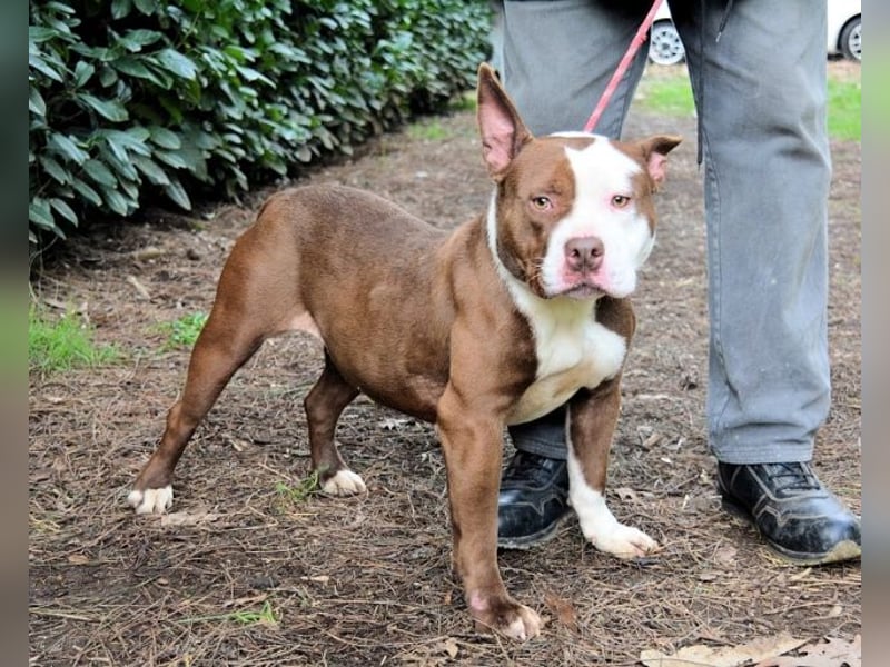 Jovienne - Menschenliebhaberin sucht Partner/in fürs Leben!