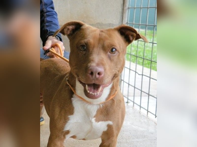 Aschette - weißt du, wie es früher war?