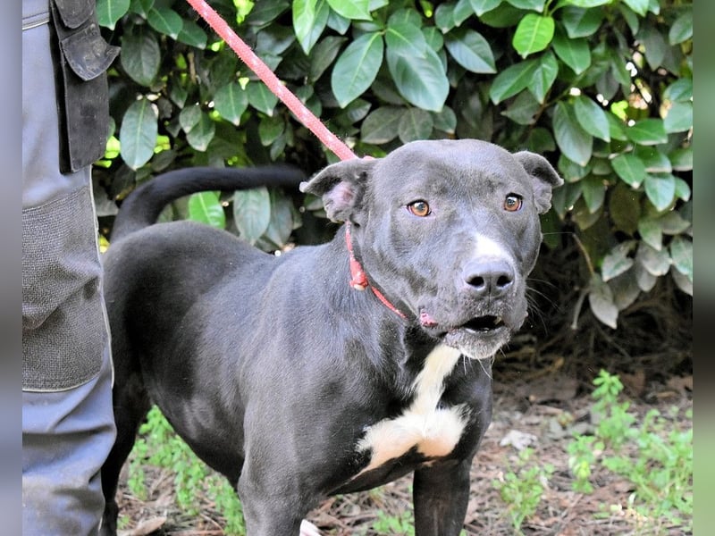 Deylora - Wenn sie fliegen könnte?