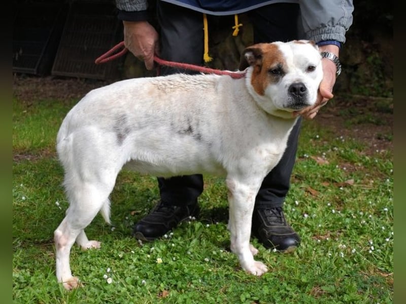 Abalyn - Piratin will Ihr Herz entern