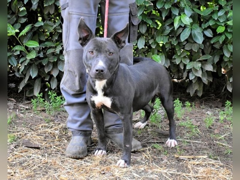 Deylora - Wenn sie fliegen könnte?