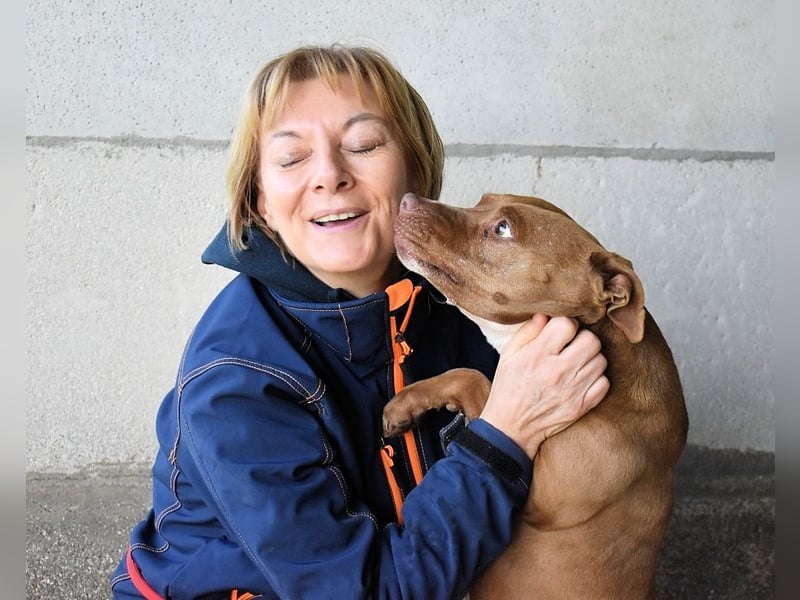 Aschette - SOS - Früher hat sie gelächelt